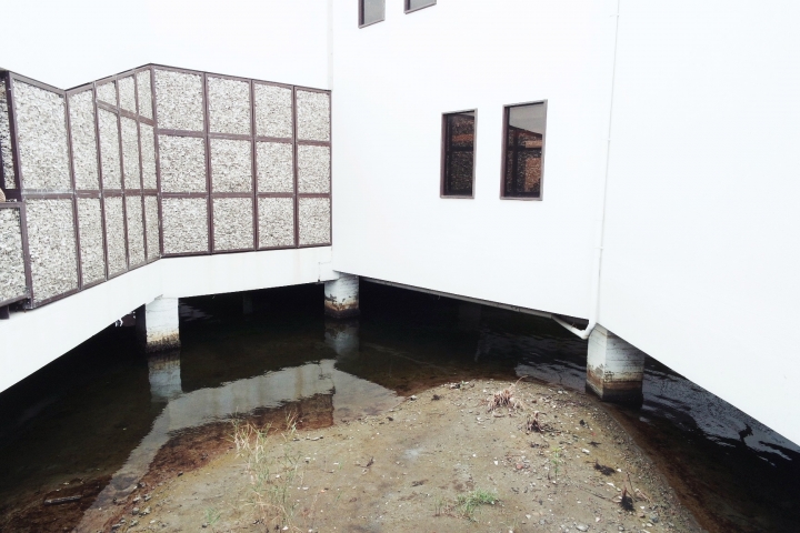 【台南安南】『台江國家公園管理處』私房景點♡台南好好拍特色遊客中心,鹹鹹海水與水上高腳白屋│IG 最新打卡拍照熱門景點