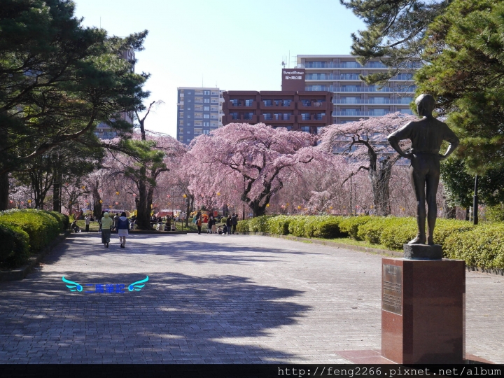 【日本 仙台】賞櫻名所榴岡公園
