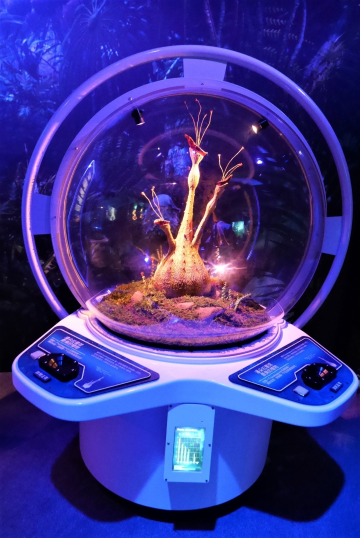 【台北信義區 | 展覽】登陸神秘又驚奇的的潘朵拉星球❍阿凡達-探索潘朵拉世界特展