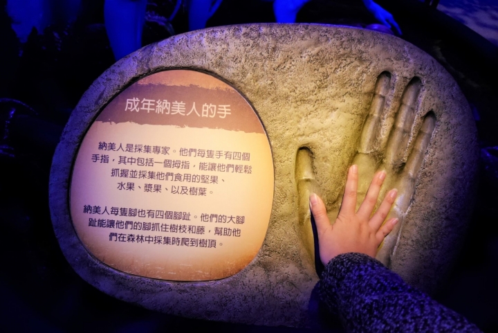 【台北信義區 | 展覽】登陸神秘又驚奇的的潘朵拉星球❍阿凡達-探索潘朵拉世界特展
