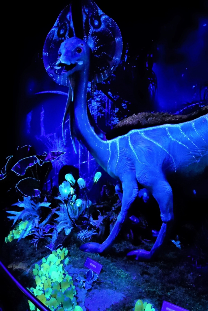 【台北信義區 | 展覽】登陸神秘又驚奇的的潘朵拉星球❍阿凡達-探索潘朵拉世界特展