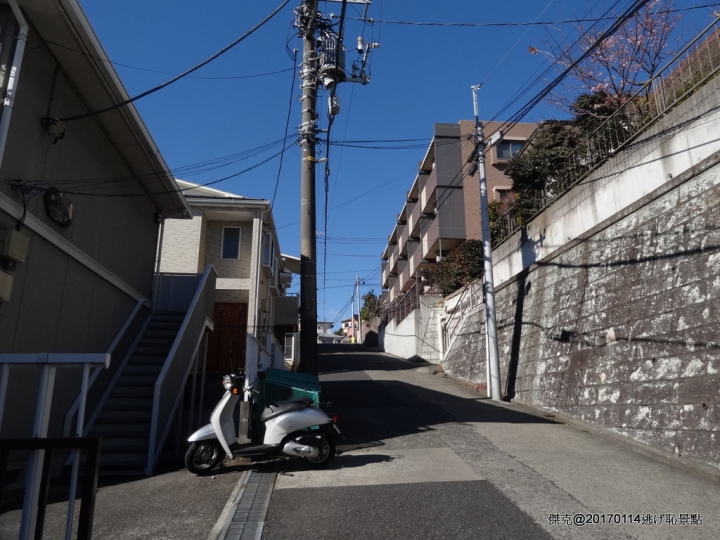 20170114 橫濱、伊豆修善寺