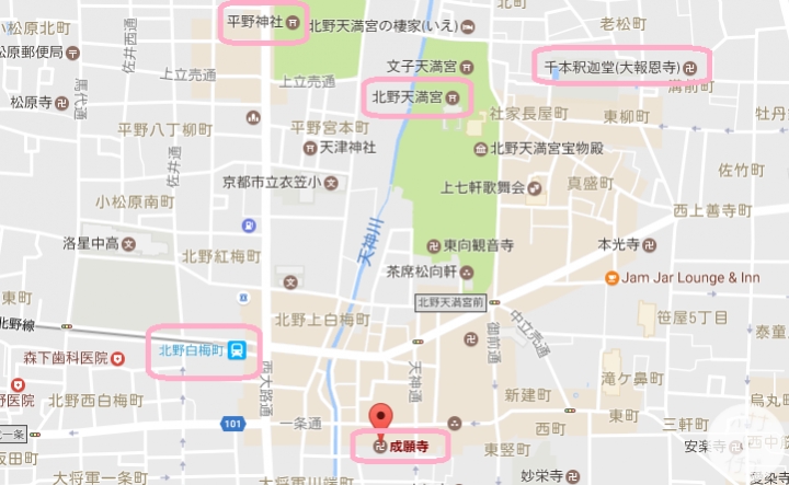 「京都的櫻花」--京都賞櫻景點、路線整理分享