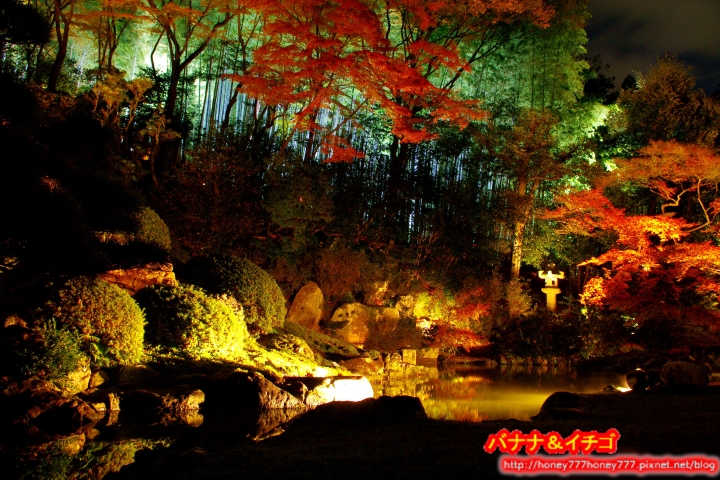 京都賞楓整理 (雖然還有9個月XD 參考參考嚕!!!)