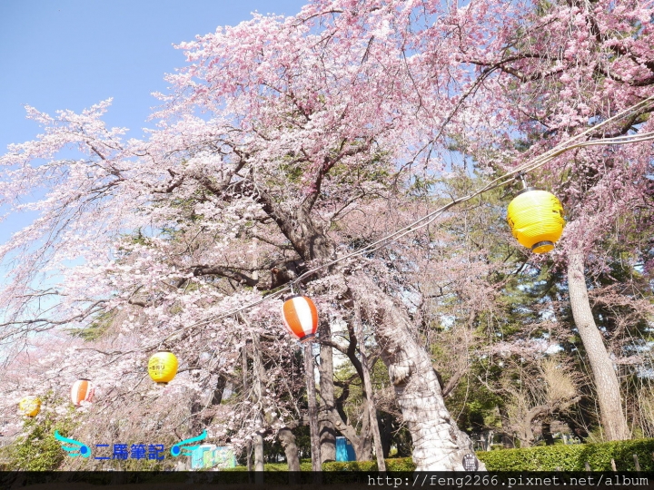 【日本 仙台】賞櫻名所榴岡公園
