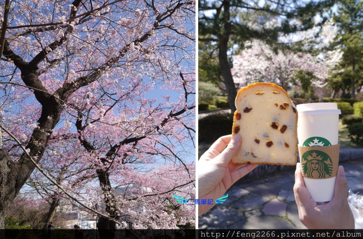 【日本 仙台】賞櫻名所榴岡公園