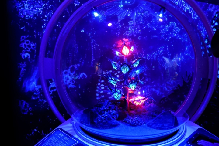 【台北信義區 | 展覽】登陸神秘又驚奇的的潘朵拉星球❍阿凡達-探索潘朵拉世界特展