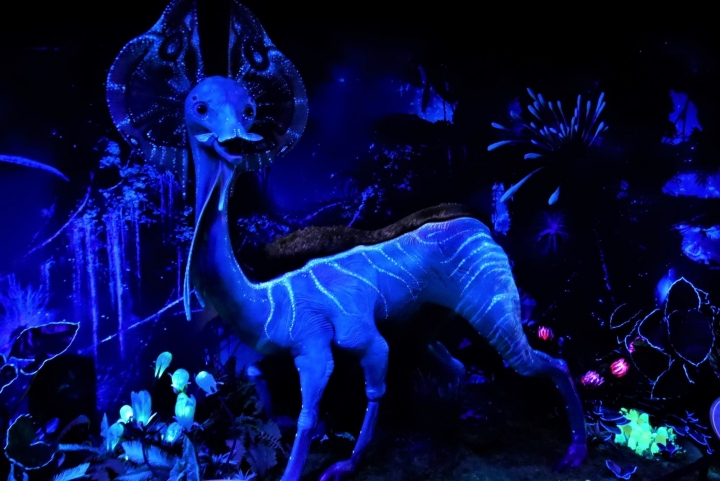 【台北信義區 | 展覽】登陸神秘又驚奇的的潘朵拉星球❍阿凡達-探索潘朵拉世界特展