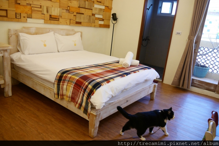 【旅遊-墾丁南灣】鐵宿TETSU-鬧中取靜木造風裝潢的寵物友善民宿,不限體型跟寵物隻數衝浪玩水一應俱全,好評推薦!