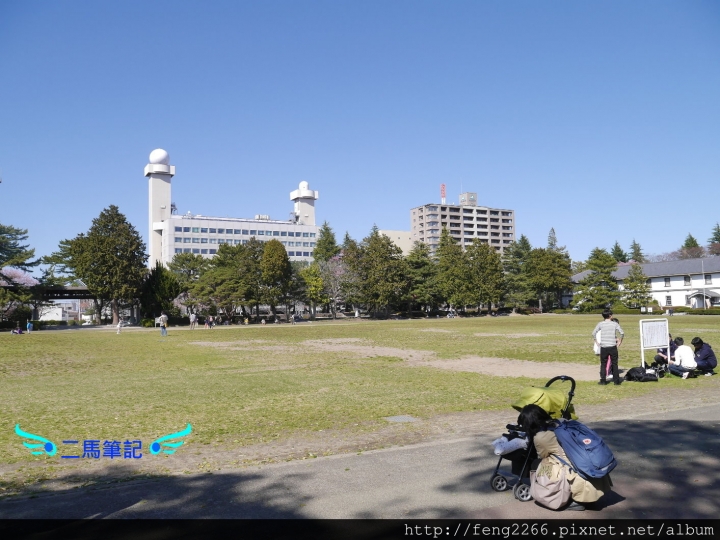 【日本 仙台】賞櫻名所榴岡公園
