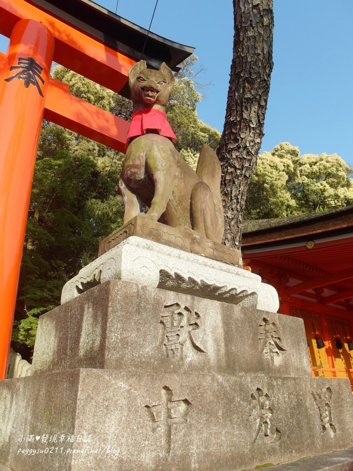 (京都景點) 伏見稻荷大社 ❤ 終於見到藝妓回憶錄千本鳥居場景好感動~