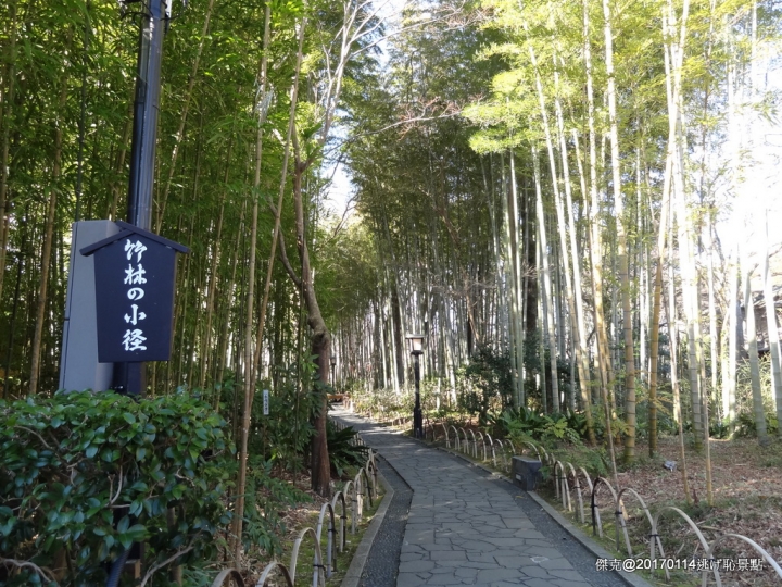 20170114 橫濱、伊豆修善寺