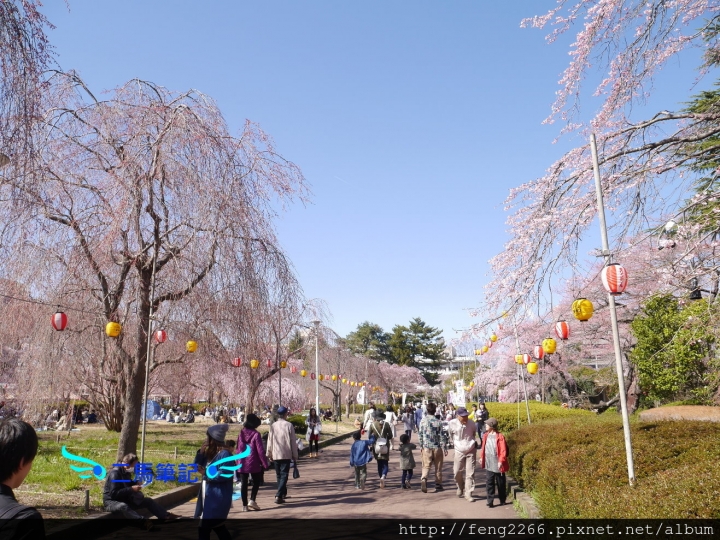 【日本 仙台】賞櫻名所榴岡公園