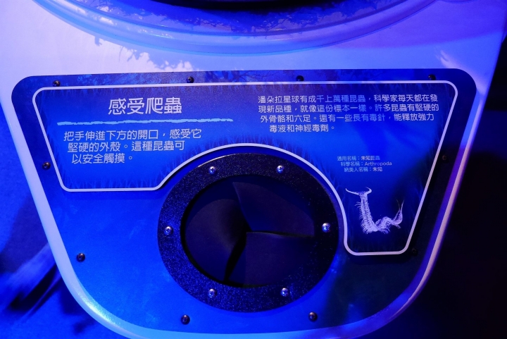 【台北信義區 | 展覽】登陸神秘又驚奇的的潘朵拉星球❍阿凡達-探索潘朵拉世界特展