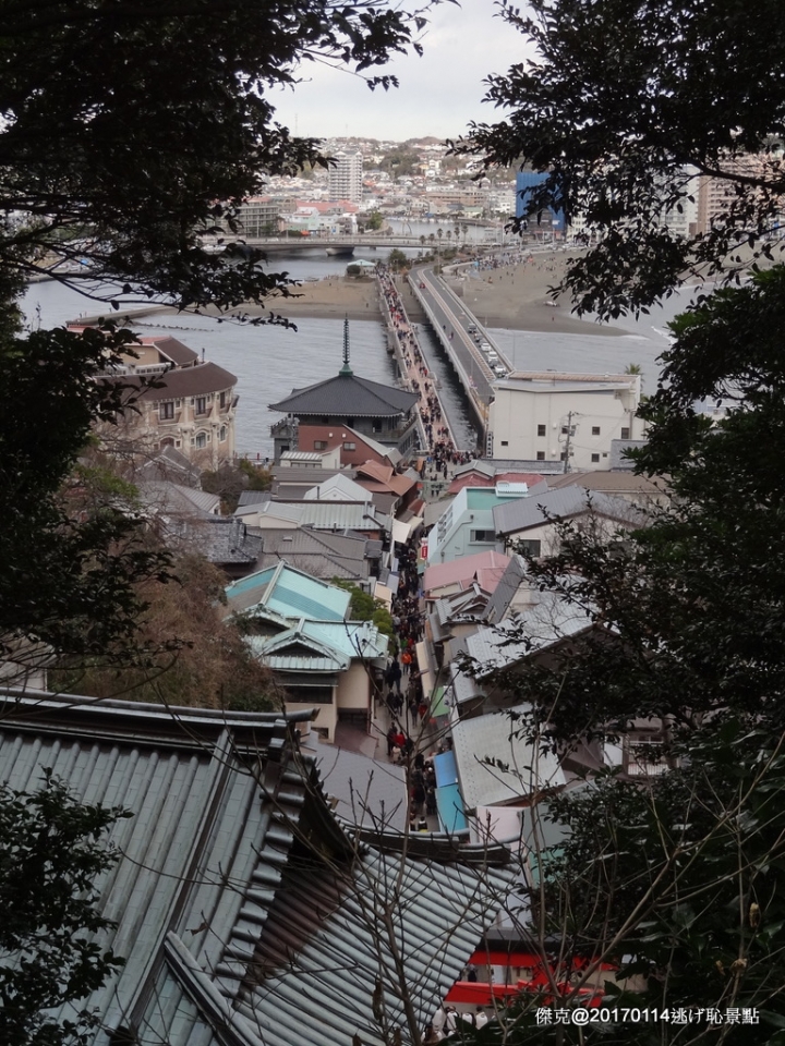 20170114 橫濱、伊豆修善寺