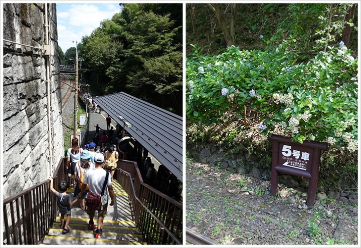 〈關西親子自助行〉Day5:渡月橋 - 古都芋本舗 - 野宮神社 - 天龍寺 - 竹林步道 - 嵐山小火車 - 午餐(嵯峨とうふ 稲) - 梅田.焼肉の牛太