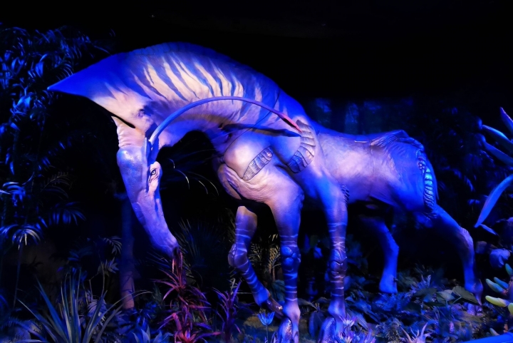 【台北信義區 | 展覽】登陸神秘又驚奇的的潘朵拉星球❍阿凡達-探索潘朵拉世界特展