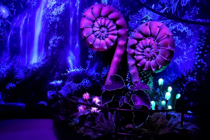 【台北信義區 | 展覽】登陸神秘又驚奇的的潘朵拉星球❍阿凡達-探索潘朵拉世界特展