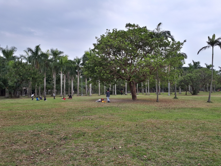 都市叢林秘境-大溝溪親水公園 Samsung Galaxy A7(2017)