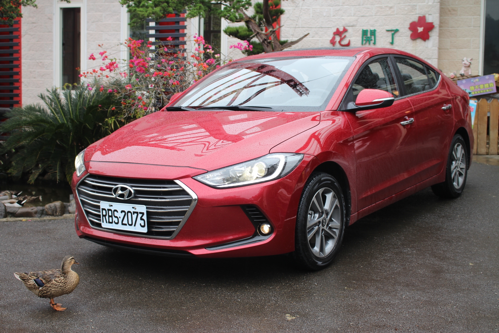 (6色全發+特仕版)「洗鍊歐風 超級進化」Hyundai Super Elnatra 試駕體驗分享