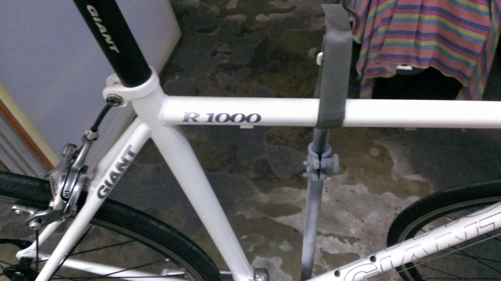 2017 BRAND NEW GIANT 水平鋼管R1000 9.5kg 達成 (圖少廢話少)