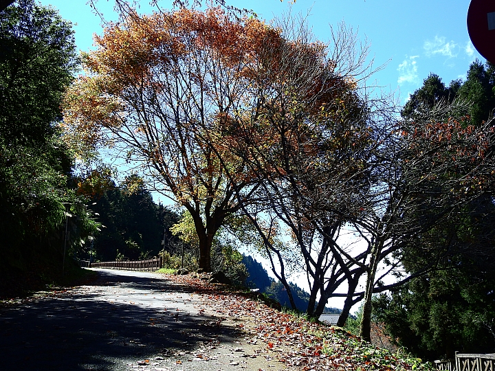 開著Luxgen S3常常上阿里山,MPV也一樣,好開嘛!