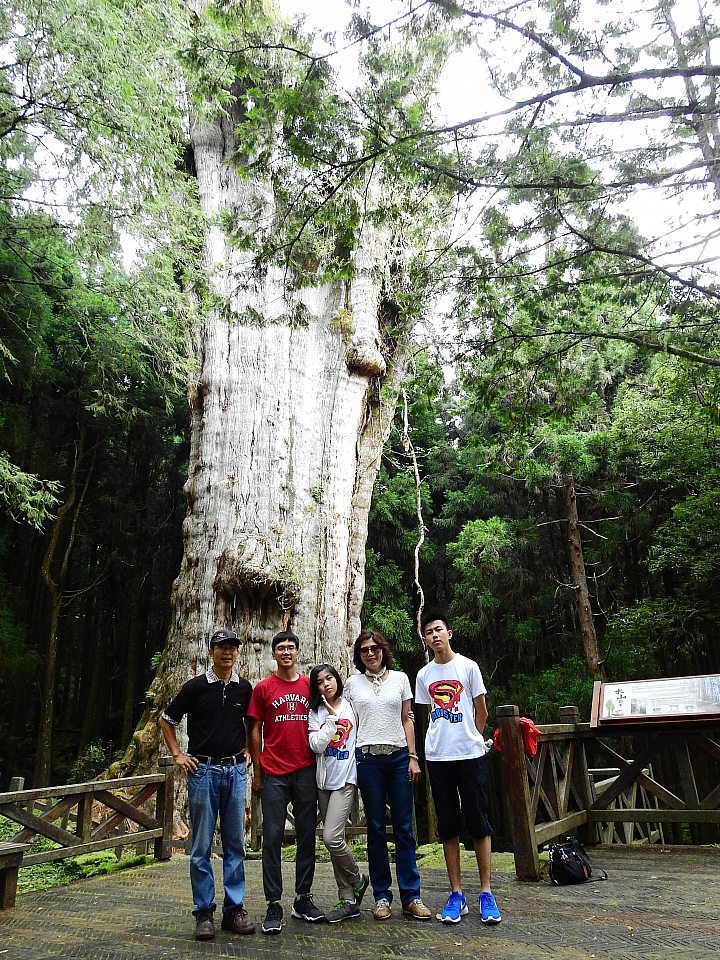 開著Luxgen S3常常上阿里山,MPV也一樣,好開嘛!