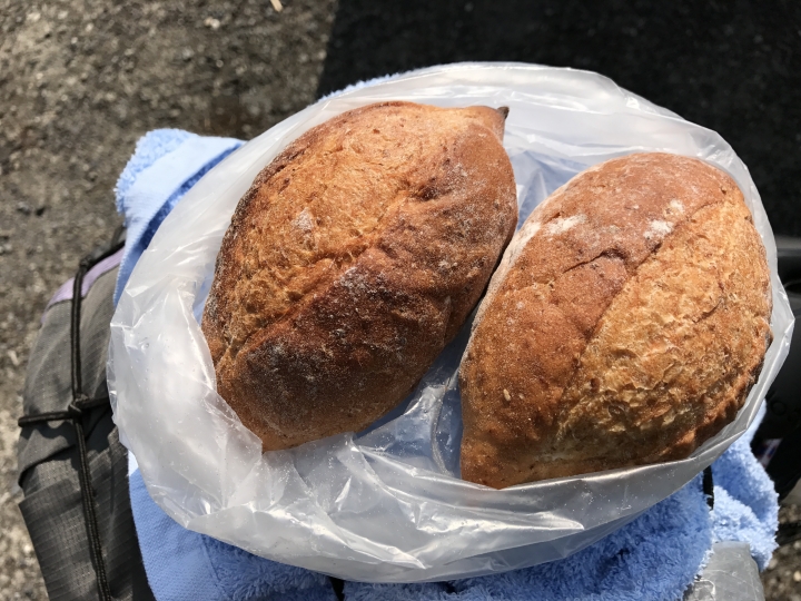 225環島苦行僧苦難之旅-上