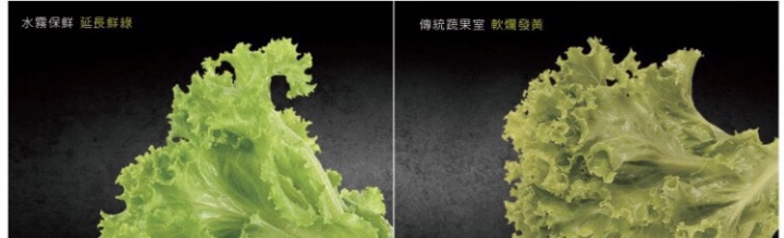 【開箱文】東元TECO玻璃四門冰箱R4801DTXW小白超美玻璃機登場