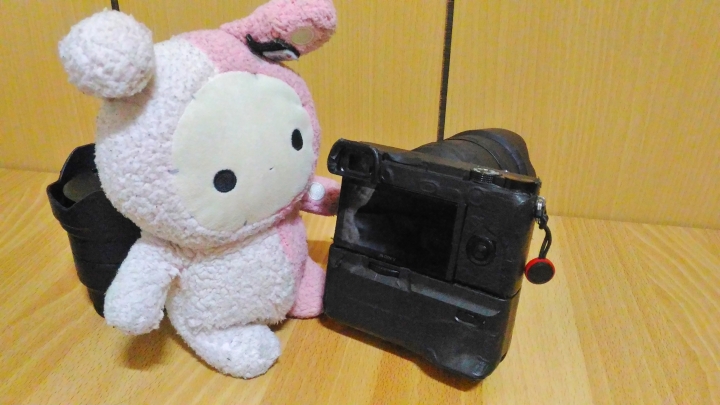 四年A接環四個月E接環心得 A6000