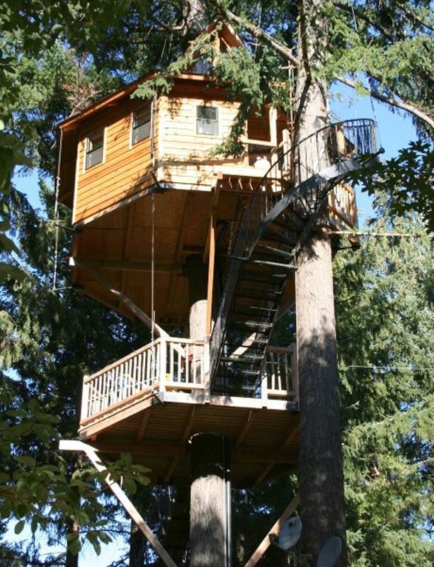 世界各國樹屋旅館探奇