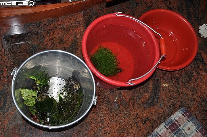 非專業DIY水草缸