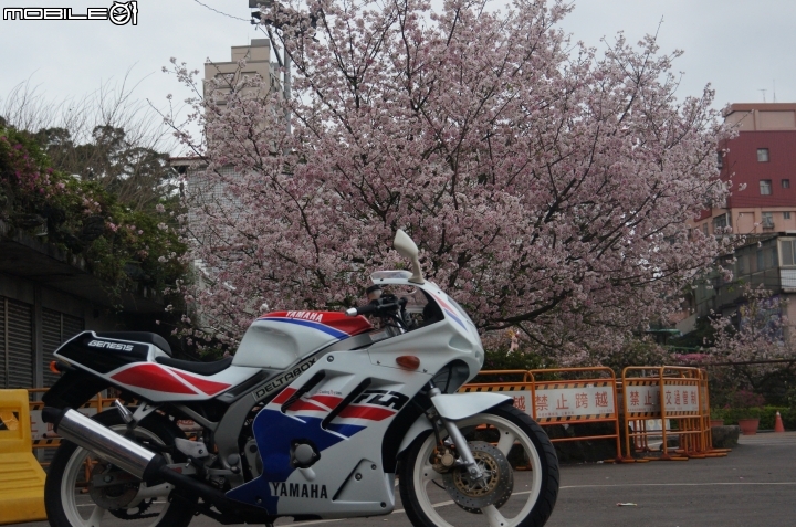 西元1990年 我的青春 台灣山葉 YAMAHA FZR150