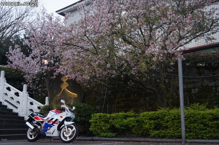 西元1990年 我的青春 台灣山葉 YAMAHA FZR150