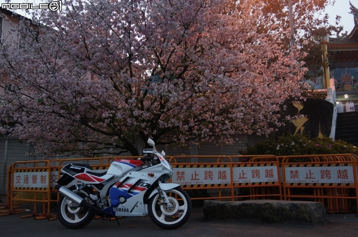 西元1990年 我的青春 台灣山葉 YAMAHA FZR150