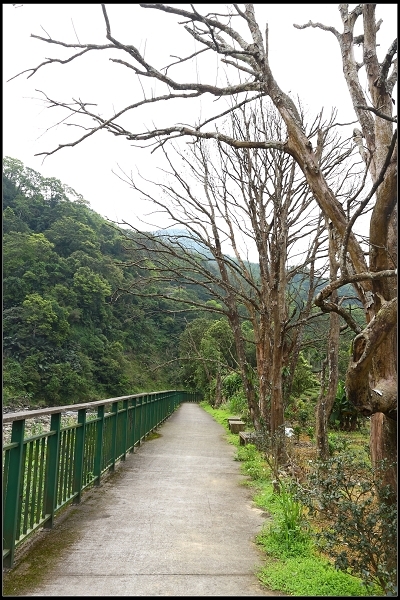 2017.04.20【單車遊記】拜訪坪林‧北勢溪自行車道 & 逮魚堀溪自行車道