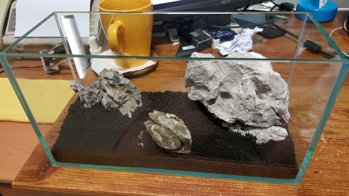 屏風缸, 書房的生態點綴