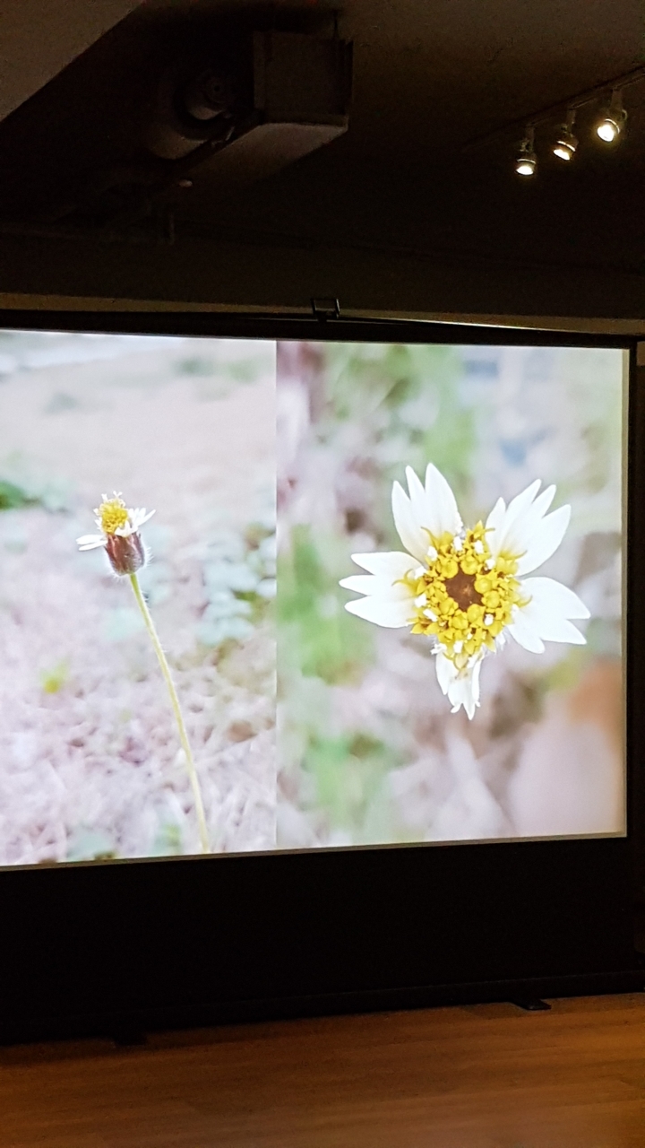 「體驗文」《Samsung Galaxy S8 │ S8+ 解放你的手機》體驗會-台中場