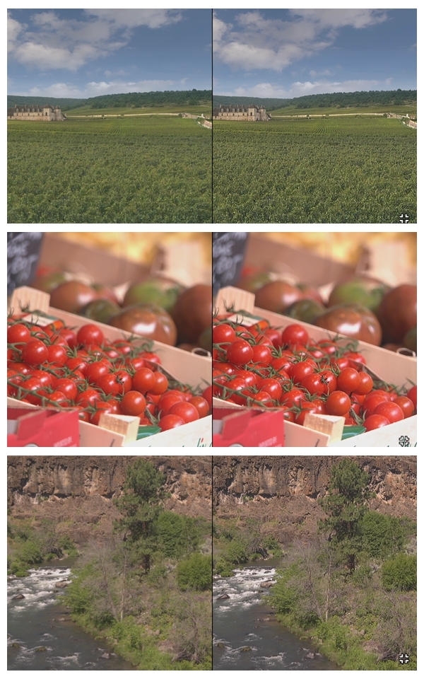 (6/1更新)SONY XZ Premium CSK 不專業開箱分享 (小小認真版) (圖多)(持續更新)