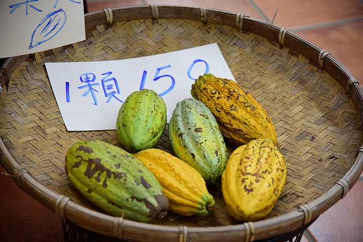 萬巒可茵山可可莊園,享受在可可園裏的可可巧克力熱帶風情。