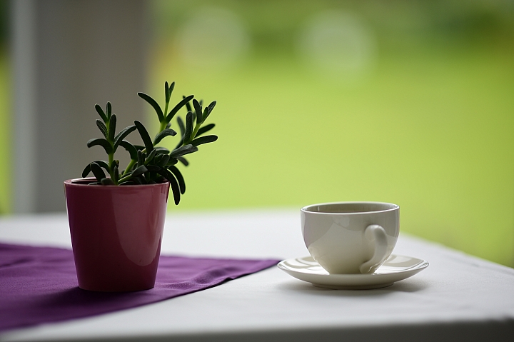 Nikon 105mm F1.4E開箱,這顆鏡頭的散景實在太美了。