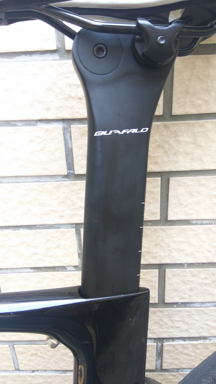 Bufalo ONE 公路車體驗心得