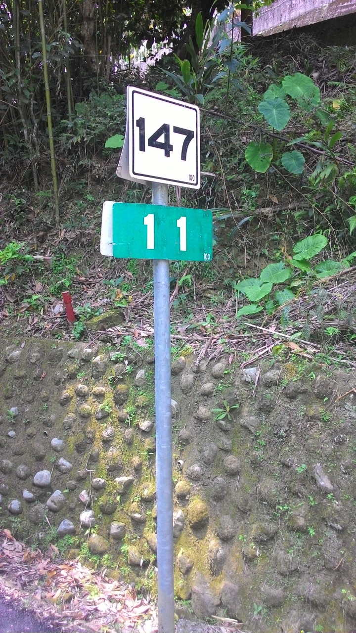 147-131-139-14乙-14-台63南投環縣之旅