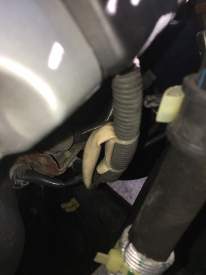 DIY: CRV 2 VTEC控制閥墊片更換 - K系列適用