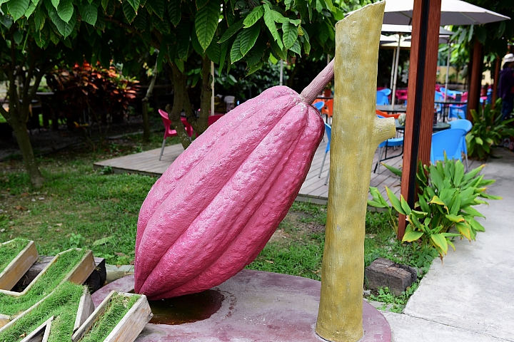 萬巒可茵山可可莊園,享受在可可園裏的可可巧克力熱帶風情。