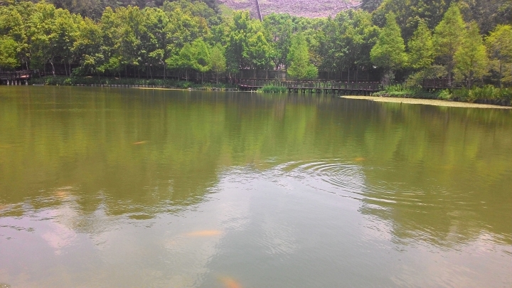 147-131-139-14乙-14-台63南投環縣之旅