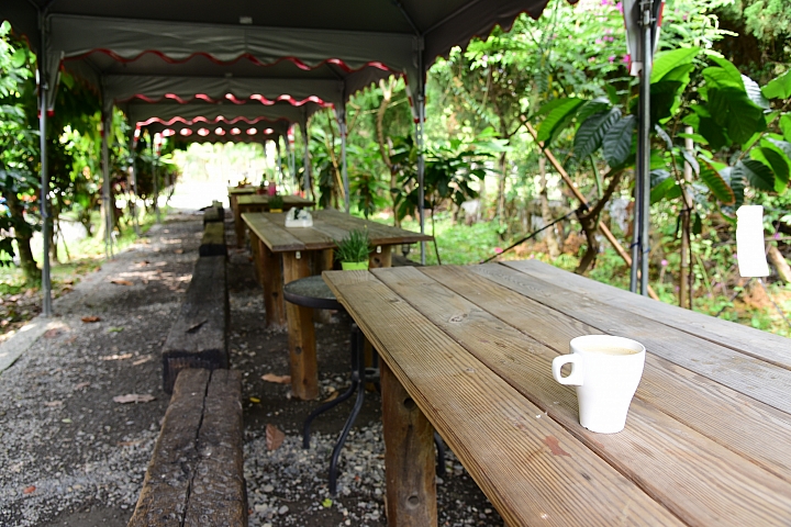萬巒可茵山可可莊園,享受在可可園裏的可可巧克力熱帶風情。