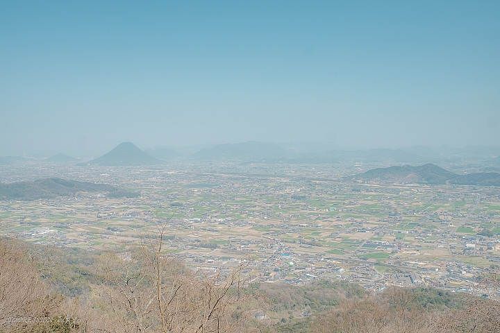 【X-T1】四國櫻花行 - 松山 高松 (多圖)