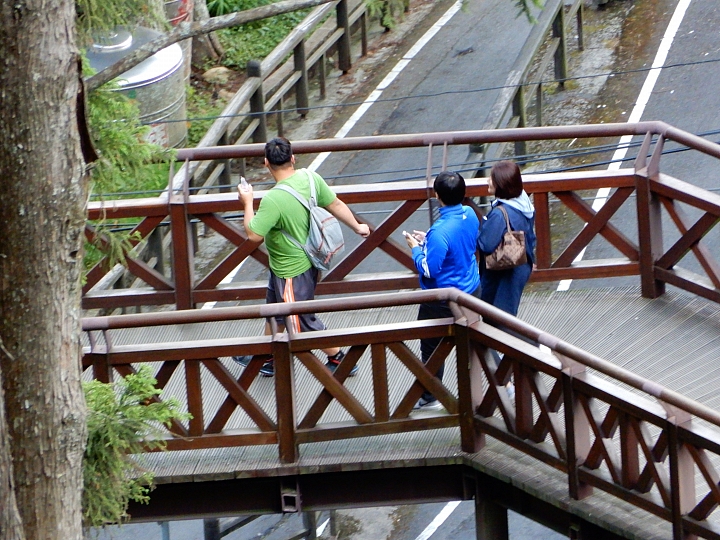 Nikon A900記錄最完整的阿里山水山線&水山巨木,及沼平公園美麗的紫藤。