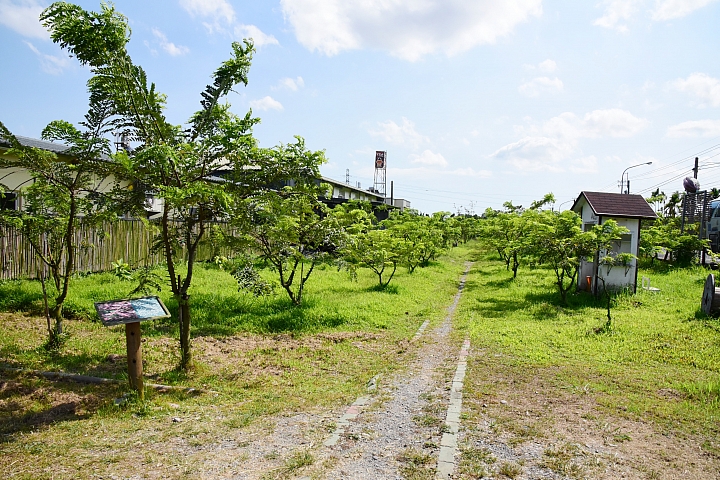 萬巒可茵山可可莊園,享受在可可園裏的可可巧克力熱帶風情。